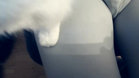 111mh online show from 04-04-26, 10:40