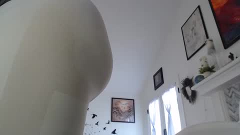 Aurora Willows online show from 01-19-26, 03:27