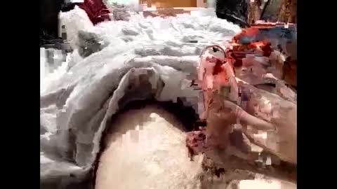 19spieler99 online show from 02-08-25, 08:21