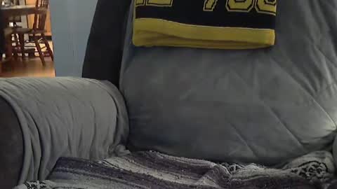 Snapshot of 1badboy360 chatting on 02-08-25, 02:58 1badboy360 online show from 02-08-25, 02:58