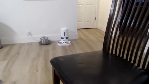 i erupt if you suck ur nipples 4 me and look at the camera while watching me online show from 11-09-25, 02:59