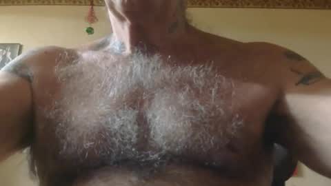 Pizza online show from 12-04-25, 11:19