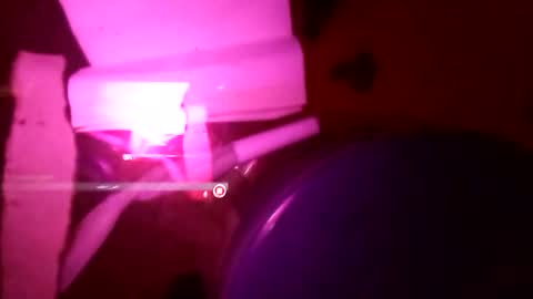 1st___ online show from 11-25-25, 08:58