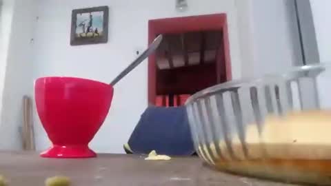 Snapshot of 22alberto9 chatting on 09-30-25, 06:35 22alberto9 online show from 09-30-25, 06:35