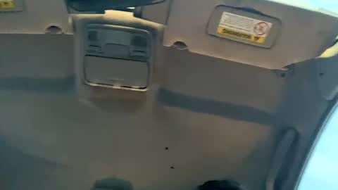 23havefunwitme online show from 02-17-25, 12:43