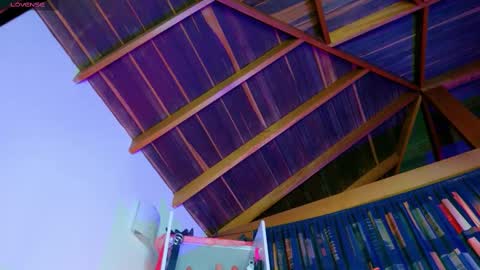 Arianna online show from 10-02-25, 03:46