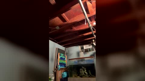 33adidas online show from 03-27-26, 08:26