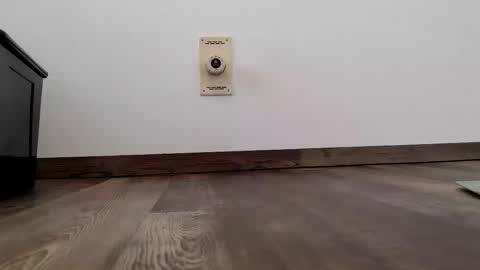 Snapshot of 555888000 chatting on 01-13-26, 11:04 Steven online show from 01-13-26, 11:04