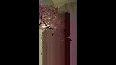 Zeus online show from 02-22-26, 03:40