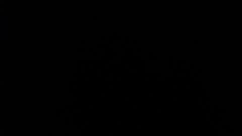 Snapshot of 666maskgirl chatting on 12-11-24, 04:09 SHANNON online show from 12-11-24, 04:09