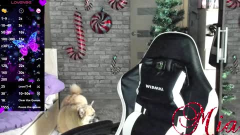 Mia my pvt is open and lovense is active online show from 12-23-24, 08:11