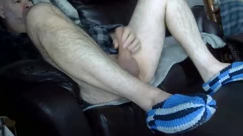 66bear online show from 03-23-26, 11:47