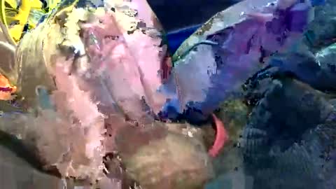 Snapshot of 6990fiko chatting on 10-27-25, 11:58 6990fiko online show from 10-27-25, 11:58