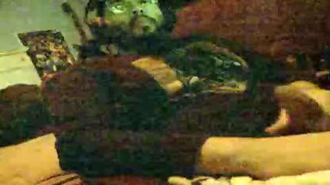 Snapshot of 6instraighter7 chatting on 11-03-25, 11:55 6instraighter7 online show from 11-03-25, 11:55