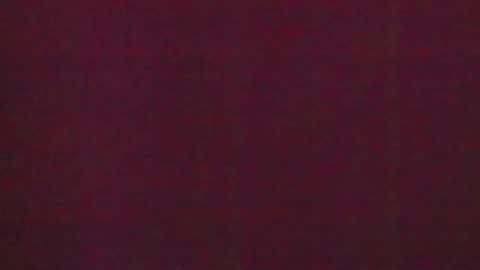 Snapshot of 777_brendi_777 chatting on 01-31-25, 07:50 Brendi online show from 01-31-25, 07:50