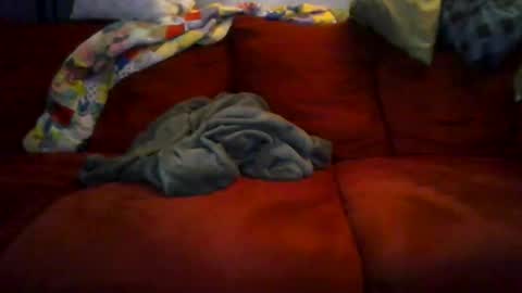 77steve7777 online show from 12-18-25, 11:16