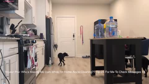 888lucky online show from 02-14-26, 02:19