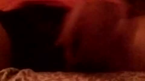 8inchhardbr online show from 02-23-26, 03:59