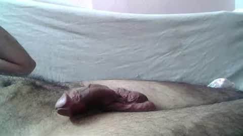 Snapshot of 9_incher_83 chatting on 06-14-26, 07:16 Massive hungry cock online show from 06-14-26, 07:16