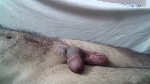 Snapshot of 9_incher_83 chatting on 06-19-26, 02:43 Massive hungry cock online show from 06-19-26, 02:43