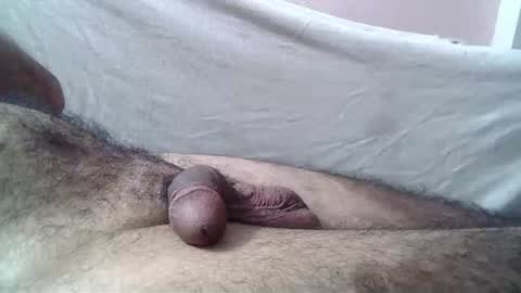 Snapshot of 9_incher_83 chatting on 07-01-26, 11:48 Massive hungry cock online show from 07-01-26, 11:48
