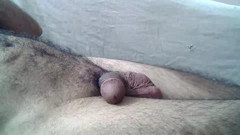 Snapshot of 9_incher_83 chatting on 07-05-26, 01:34 Massive hungry cock online show from 07-05-26, 01:34