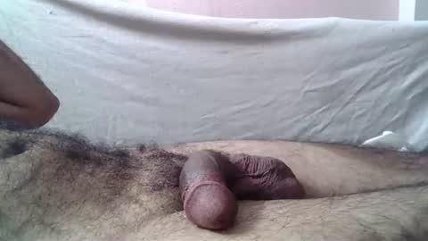 Snapshot of 9_incher_83 chatting on 07-15-26, 12:49 Massive hungry cock online show from 07-15-26, 12:49
