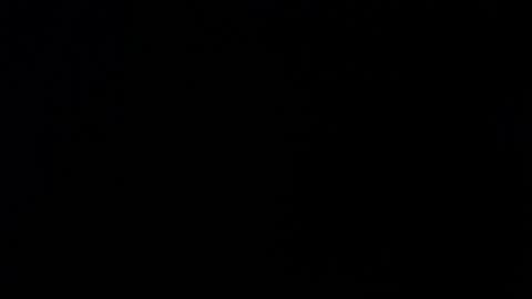 Snapshot of _aafrodita__ chatting on 11-26-25, 11:55 Alexa online show from 11-26-25, 11:55