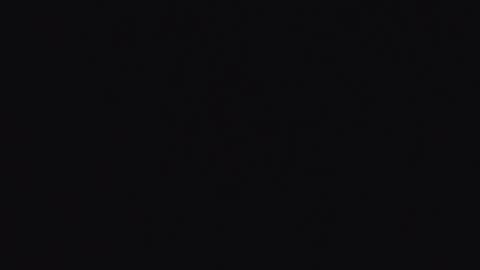  Abby  online show from 02-17-26, 11:22