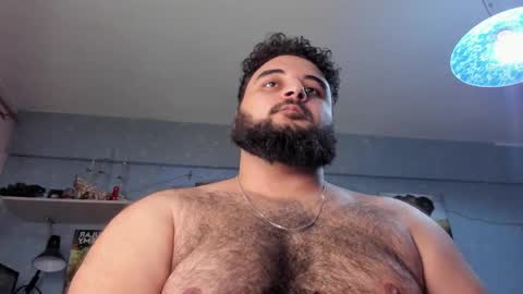 Snapshot of _alan_bear_ chatting on 01-26-25, 02:30 Alan online show from 01-26-25, 02:30