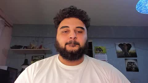 Snapshot of _alan_bear_ chatting on 02-01-25, 03:50 Alan online show from 02-01-25, 03:50