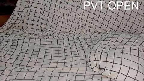 Snapshot of _alan_bear_ chatting on 03-04-25, 08:27 Alan online show from 03-04-25, 08:27