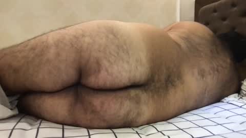 Snapshot of _alan_bear_ chatting on 05-13-26, 04:15 Alan online show from 05-13-26, 04:15