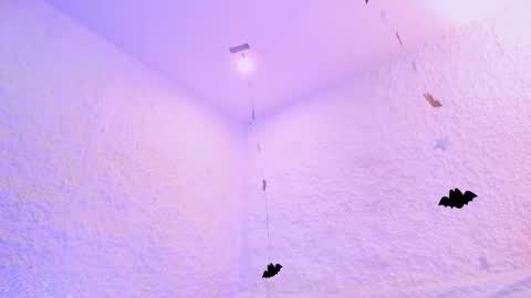 Alexander online show from 10-28-25, 02:42