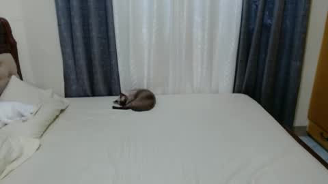 Amber online show from 12-01-24, 09:26