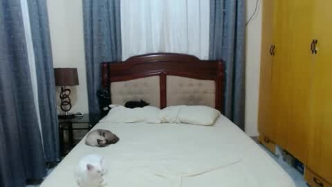 Amber online show from 01-30-25, 05:39