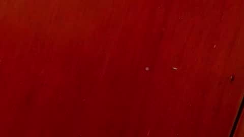 Any online show from 10-04-25, 07:01