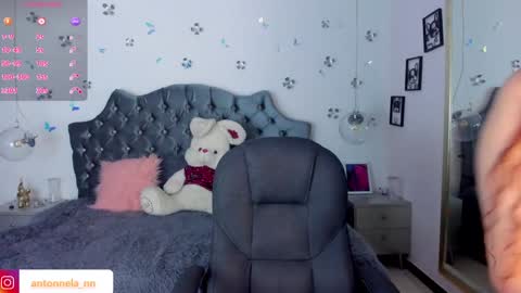Snapshot of _antonnela_ chatting on 01-31-25, 02:17 antonnela online show from 01-31-25, 02:17