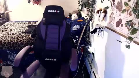 Snapshot of _bandit_b0y chatting on 02-22-26, 11:14 bandit online show from 02-22-26, 11:14