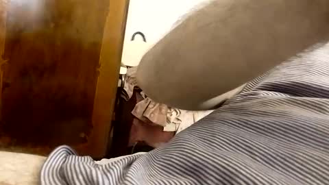 _black_horse_1 online show from 01-24-25, 03:43