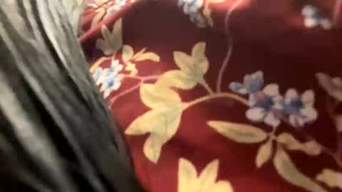 _catalina_linda_ok online show from 10-26-25, 06:41