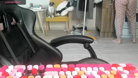 Alis online show from 03-02-26, 07:15