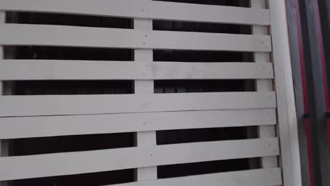 Snapshot of _hidden_frommymoom_ chatting on 05-22-26, 12:33 Criss4u online show from 05-22-26, 12:33