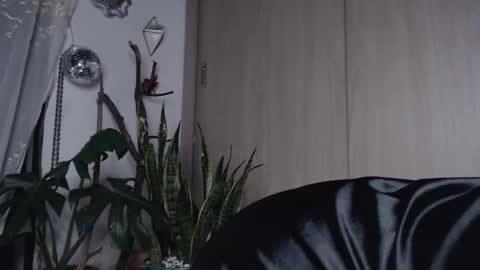 Jenn  online show from 03-27-26, 11:37