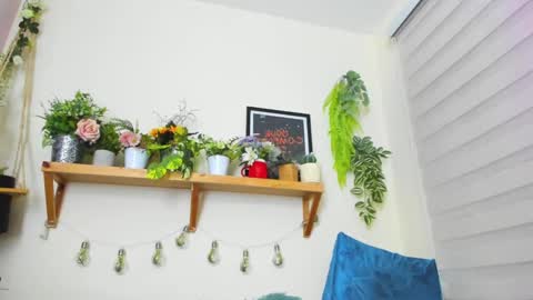 Ivanna  online show from 01-23-25, 11:05