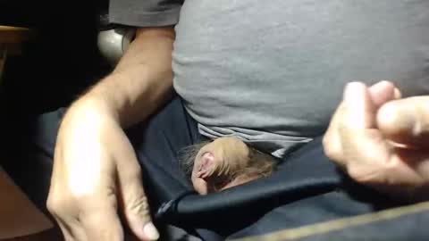 _jimmini online show from 11-01-25, 05:04