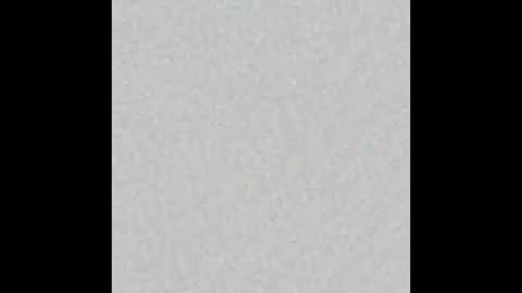 _maccaa_ online show from 10-28-25, 11:58