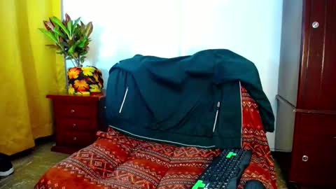 _skyleer_ online show from 10-20-25, 01:28