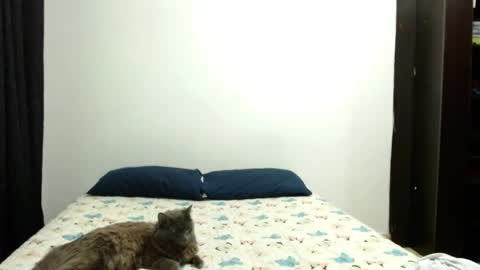 Sofia Parker online show from 10-03-25, 04:37