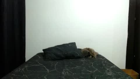 Sofia Parker online show from 11-13-25, 03:55